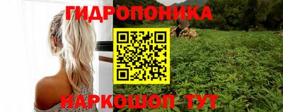 spice Чапаевск