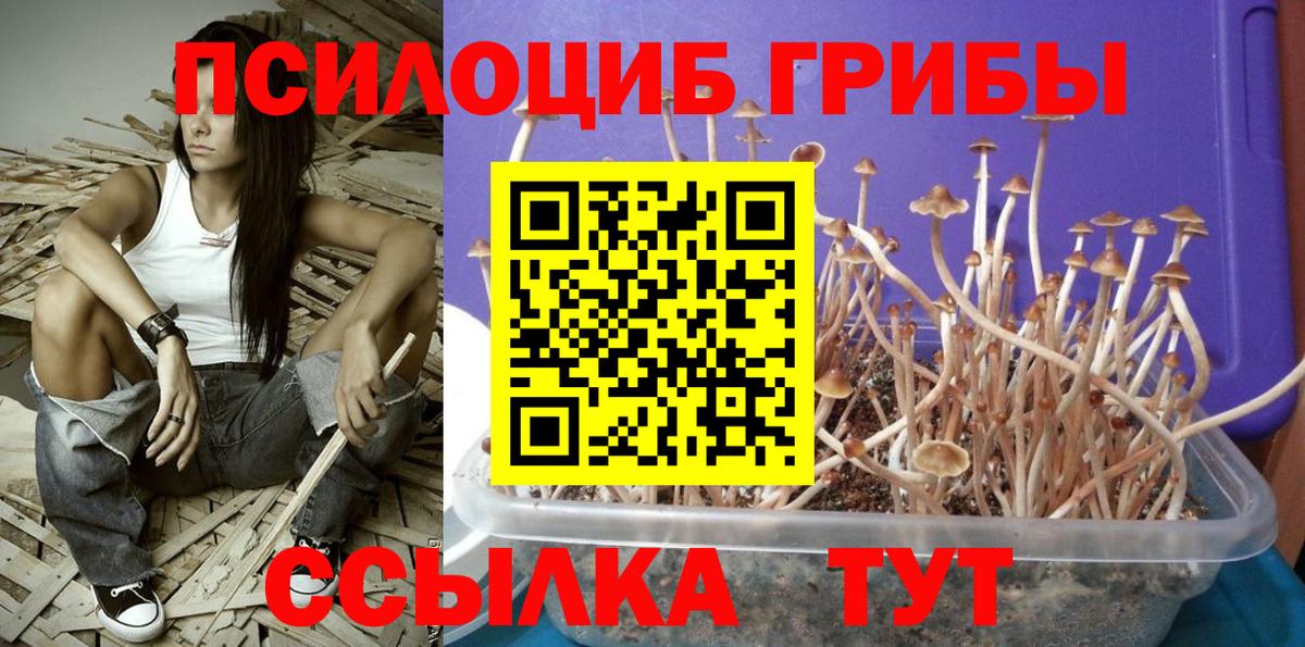 Луховицы  Псилоцибиновые грибы MAGIC MUSHROOMS  Псилоцибиновые грибы Cubensis  Вход с VPN 