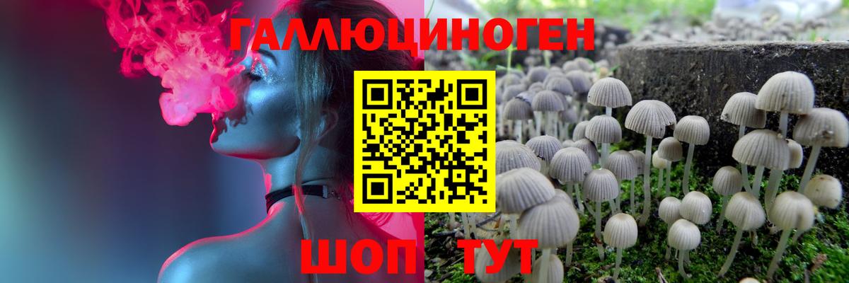 Галлюциногенные грибы прущие грибы Луховицы
